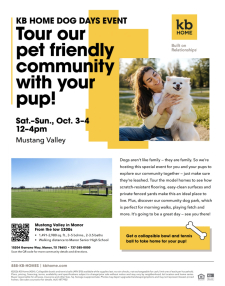 🐾 You&rsquo;re Invited: KB Home Dog Days Event at Mustang Valley
