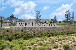Wellington