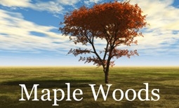 Maple Woods