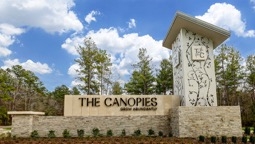 The Canopies