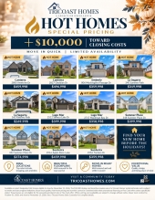 Hot Home Sale Inventory