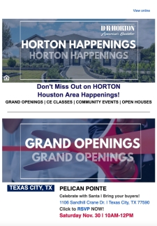 Horton's Houston Happenings Just for You!