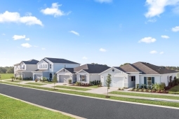 Cedar Crossings I