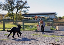 Dog Park0.jpg