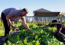 Farm Life06.jpg