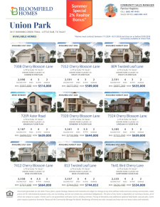Union Park Realtor Bonus + Available Homes!