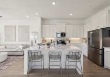 11-15793Palmwood_011.jpg