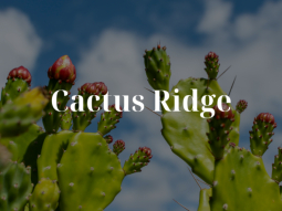 Cactus Ridge