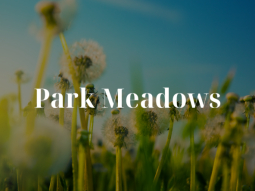 Park Meadows