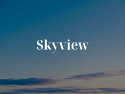 Skyview