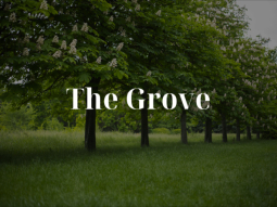 The Grove