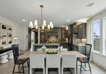 (none)