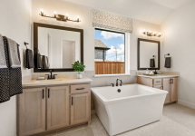 meadow-run-melissa-tx-westbury-primary-bathroom (1).jpg