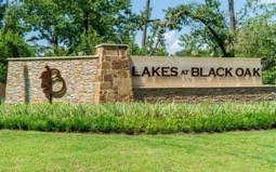 Lakes of Black Oak
