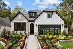 ARTAVIA 45' Homesites