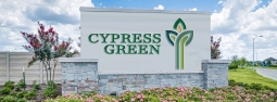 Cypress Green
