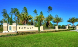 Tamaya