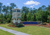 SilverLeaf-01.jpeg