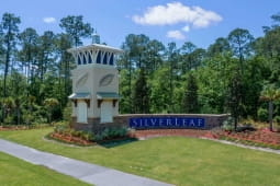 SilverLeaf 80'