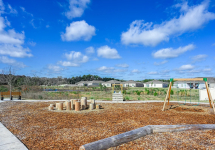 11_CoopersMeadow.jpg