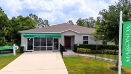 Poinciana