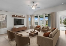 c2.jpg