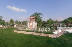 The Woodlands
