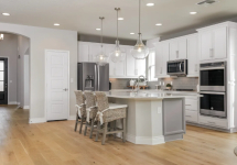 (none)