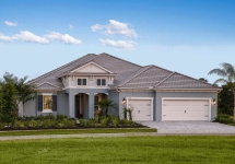(none)