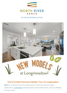 Exclusive Realtor Tour of Longmeadow!