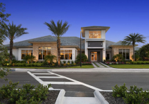 (none)