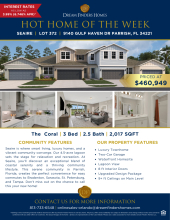 Seaire Hot Home Of The Week - The Coral!