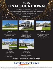 Final 5 David Weekley Homes in The Peninsula at Rhodine Lake